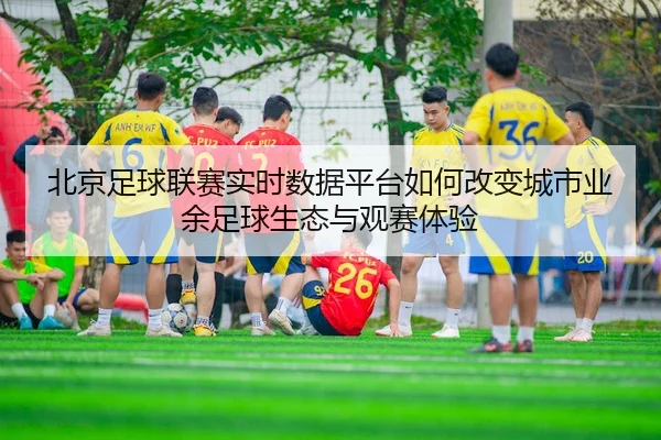 北京足球联赛实时数据平台如何改变城市业余足球生态与观赛体验