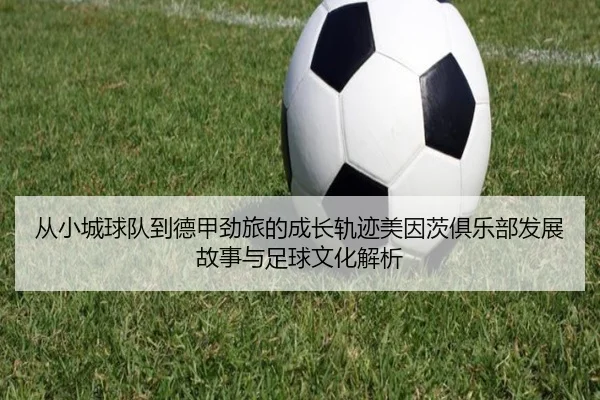 从小城球队到德甲劲旅的成长轨迹美因茨俱乐部发展故事与足球文化解析