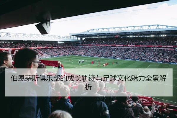 伯恩茅斯俱乐部的成长轨迹与足球文化魅力全景解析