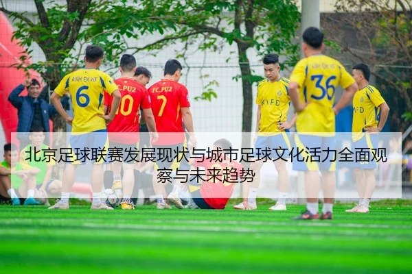北京足球联赛发展现状与城市足球文化活力全面观察与未来趋势