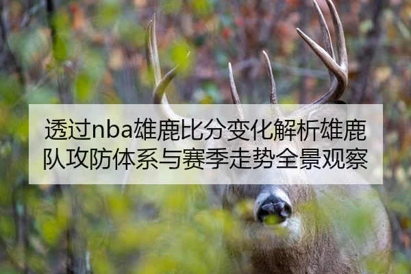 透过nba雄鹿比分变化解析雄鹿队攻防体系与赛季走势全景观察