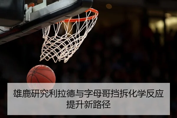 雄鹿研究利拉德与字母哥挡拆化学反应提升新路径